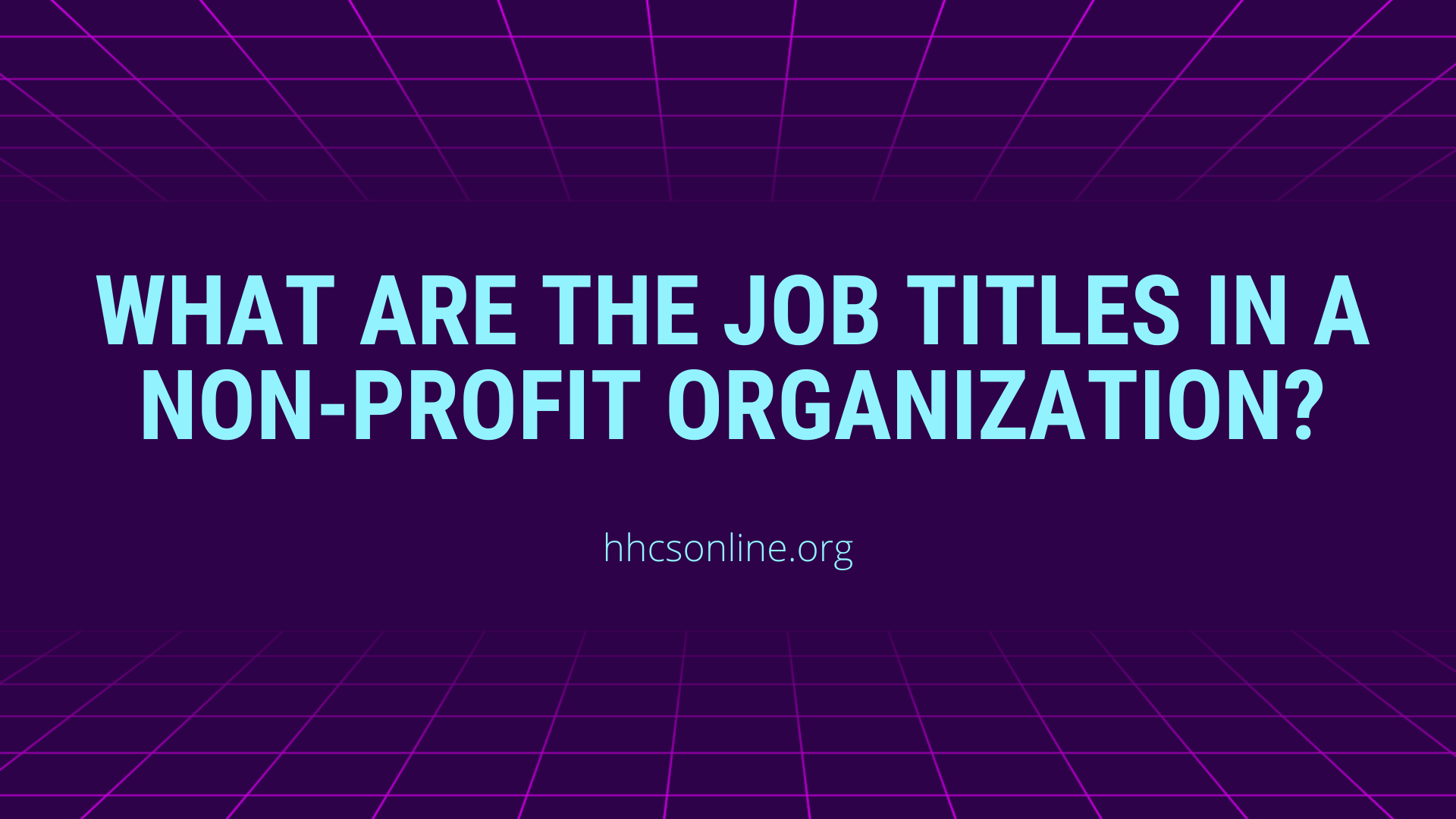 What Are the Job Titles in a Non-profit Organization? - HHCS